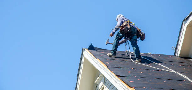 Best Roof Gutter Cleaning  in Dunkirk, MD